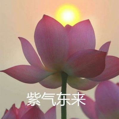 潜江千分手机版下载